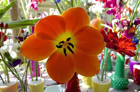 You are going to read a magazine article about an artist who paints flowers. Faith Flowers Hosts Accent Decor Photo Shoot, Rob Plattel ...