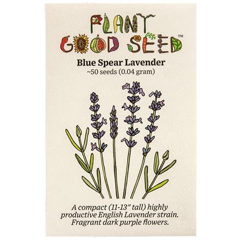 Plant Good Seed Blue Spear English Lavender Seeds Lavandula