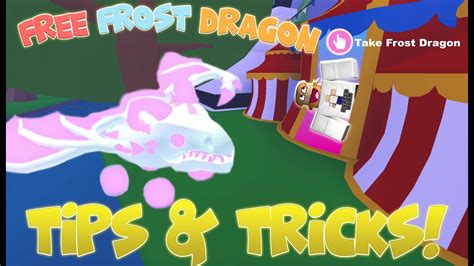 Redeem all the codes for roblox treasure rush from our updated code list that gives you tons of free coins and pets! How to get FREE Frost Dragons! Working GLITCH! (Roblox Adopt Me) - YouTube