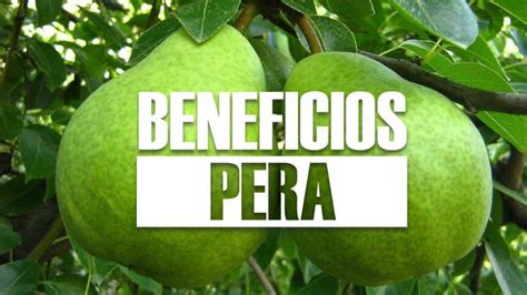 10 Beneficios De La PERA Y Sus Milagrosas Propiedades