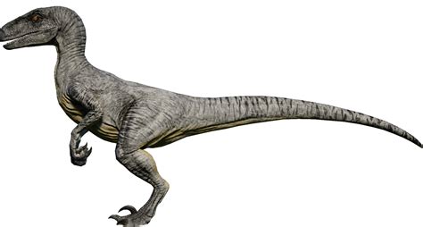 Velociraptor Jurassic World Evolution Wiki Fandom Velociraptor Jurassic World Jurassic