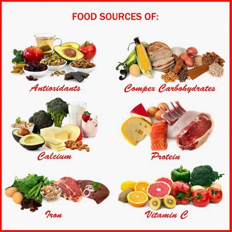 Top Foods For Muscle Growth Body Building Body Builder
