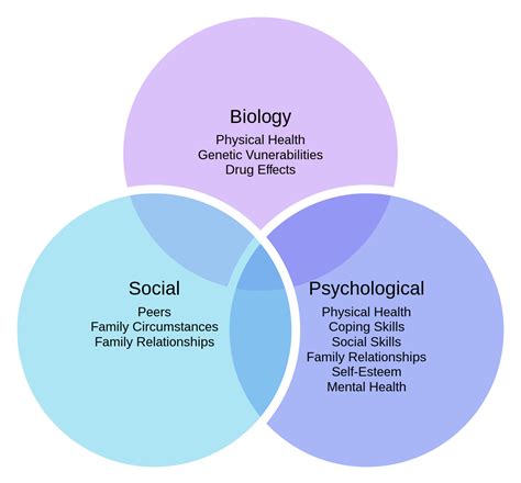 File Biopsychosocial Model Of Health Svg Wikimedia Commons