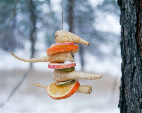 Winter solstice is a day with shortest daytime and longest night time in northern hemisphere. 7 Wonderful Ways to Celebrate Winter Solstice with Kids ...