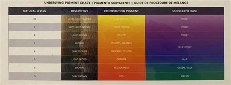 Understanding The Level System In Hair Color Lkc Studios Have A