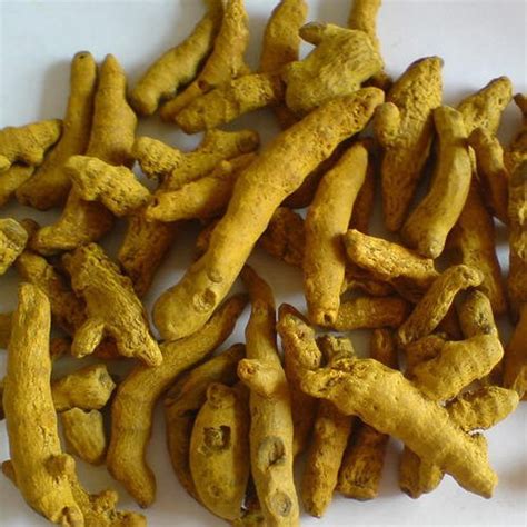 Whole Turmeric Finger Manufacturer Supplier From Coimbatore India