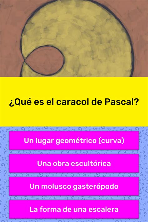 Qu Es El Caracol De Pascal Las Preguntas Trivia Quizzclub