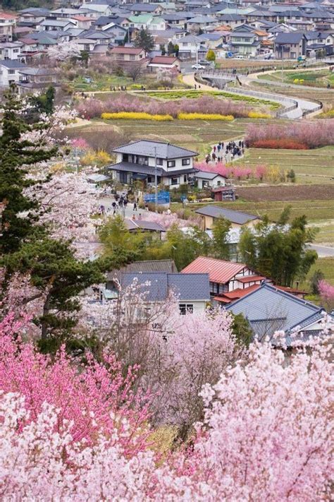 Cherry Blossom Season In Japan Beautiful World Beautiful Places