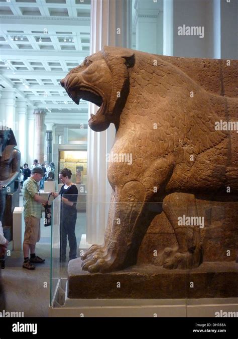 Statue Dun Lion Dans Le British Museum De Nimrud Kalhu Ancient Iraq