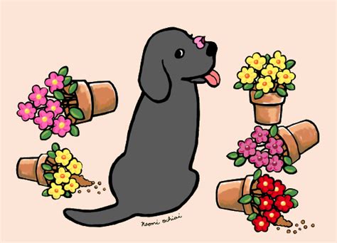 A Mischievous Black Labrador Cartoon Happylabradors