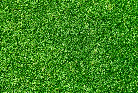 Natural Grass Texture Floor