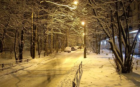 Photo Of Trees Beside Street During Winter Hd Wallpaper Wallpaper Flare