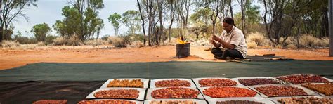 Aboriginal Cultural Experiences In Central Australia Worldstrides Australia