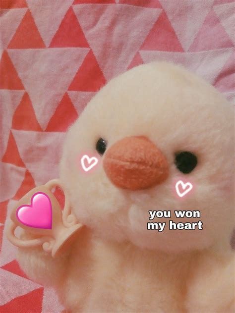 Pin By Ⓒⓛⓐⓤⓓⓘⓐ On You Meme A Lot To Me Wholesome Memes Cute Love