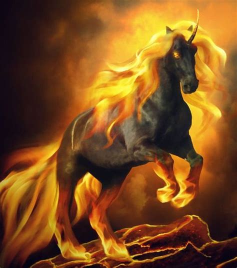 Fire Horse Unicorn Fantasy Fantasy Horses Unicorn Art Cute Fantasy