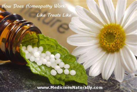 How Do Homeopathy Remedies Work Homeopathy Homeopathic Treatment