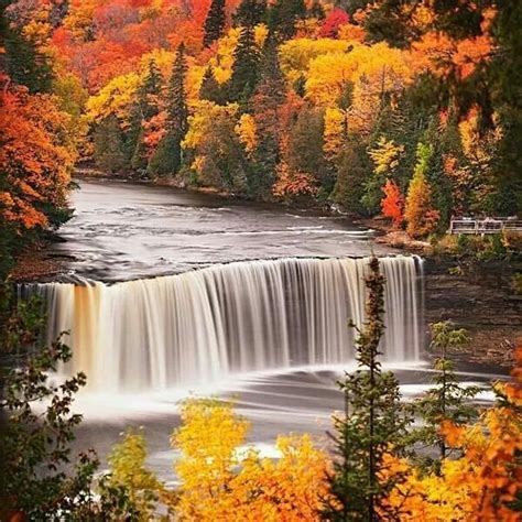 Pin By Jodie Gualtier Stewart On Pure Michigan Fall Pictures