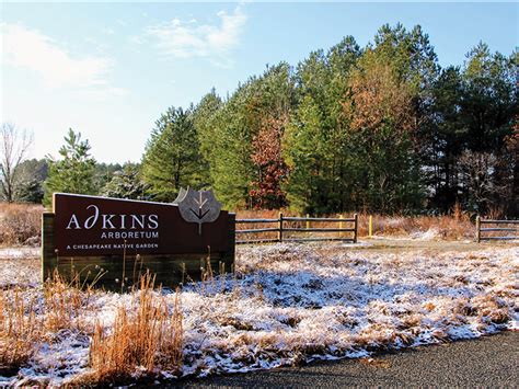 Find Your Chesapeake Adkins Arboretum Attraction