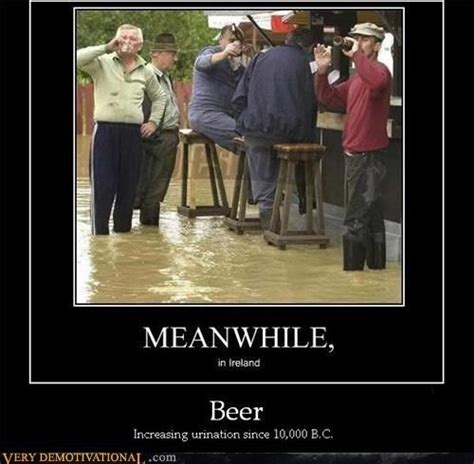 Meanwhile... in Ireland. | Beer humor, Very demotivational ...