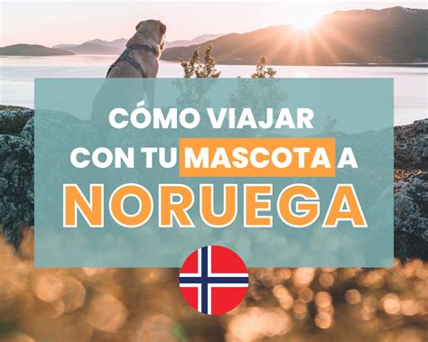 12 Cosas Que Tienes Que Saber Antes De Viajar A Noruega
