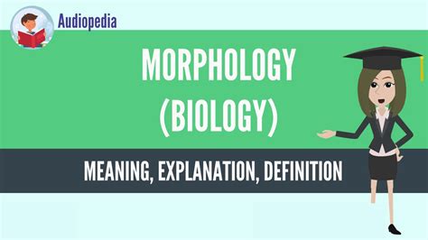 What Is Morphology Biology Morphology Biology Definition And Meaning