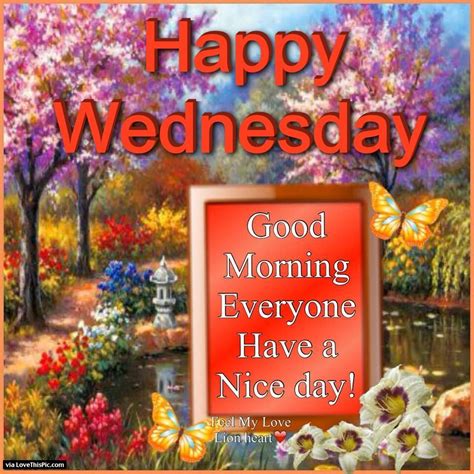 Happy Wednesday Good Morning Everyone Have A Nice Day Good Morning
