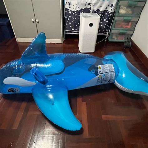 Diskurs Suspension Eintritt Inflatable Whale Pop Stewart Island China