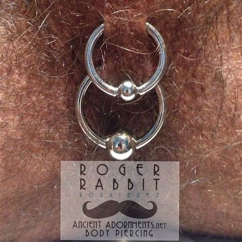 ancientadornmentsbodypiercing healed pair of guiche piercings at ancient adornments piercing