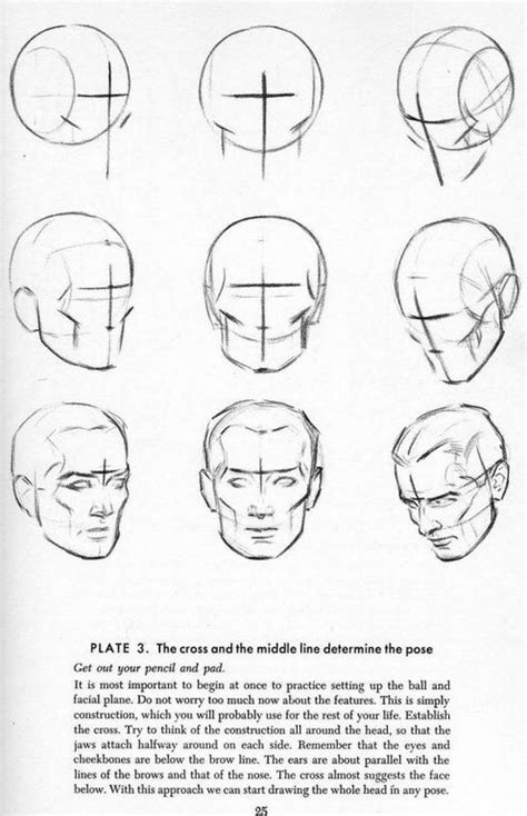 Drawing Heads Human Anatomy Drawing Anatomy Drawing