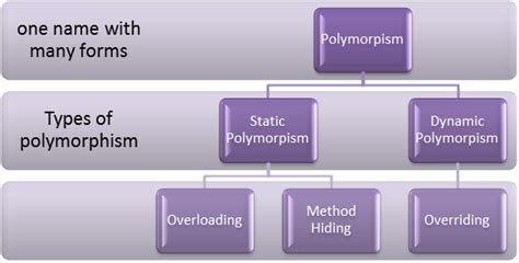 Object Oriented Programming Polymorphism Dr Mohamed R