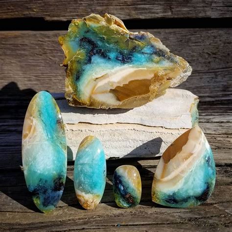Petrified wood indonesia is a leading brand form indonesia. Pin on Indonesian Petrified Wood With Blue Opal