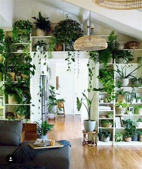 20 Indoor Plant Display Ideas