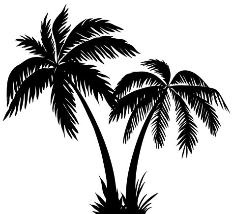 Silhouette Arecaceae Clip Art Palms Silhouette Clip Art Png Image Png