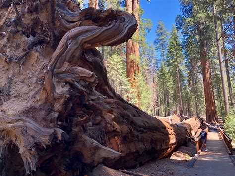 O que fazer em Porterville. Melhores dicas para 2024 | Expedia Turismo