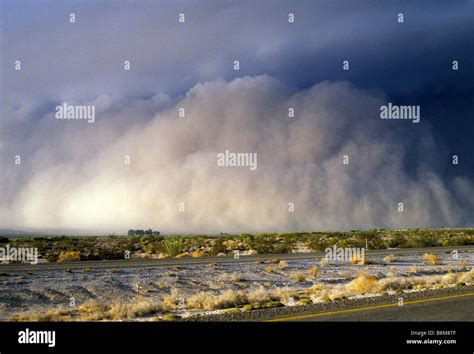 Huge Dust Storm Rolls Across The Arizona Desert Near Yuma Usa Commonly