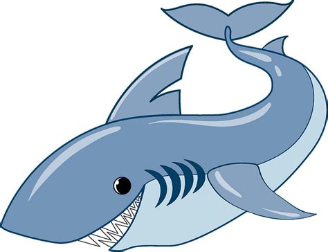 Shark Clipart Free Download Transparent Png Creazilla