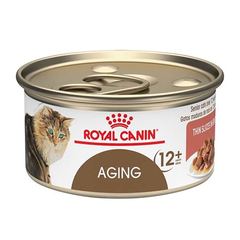 The Best Senior Cat Food A Guide To Feeding Your Older Cat BeChewy