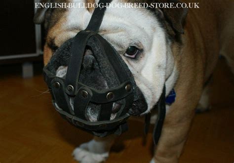 Leather Dog Muzzle With Super Ventilation For English Bulldog