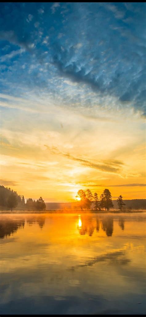 Sunrise On The Lake With A Tree Uhd Wallpaper Sunset Wallpaper
