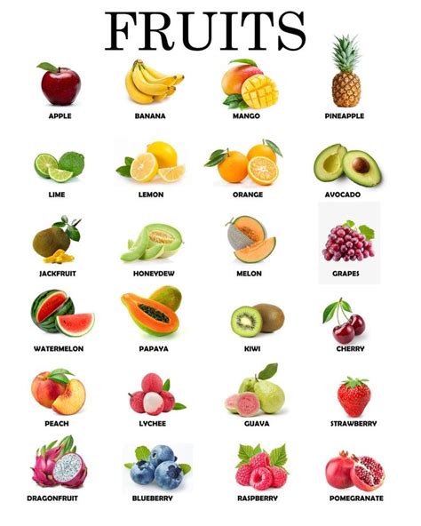 Instant Download Printable Fruits Educational Poster Montessori Waldorf
