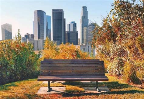 5 Los Angeles Parks That Offer Incredible Views Secret Los Angeles