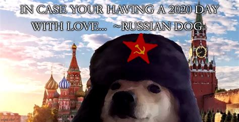 Image Tagged In Russian Dog Meme That You Not Gonna Use Imgflip