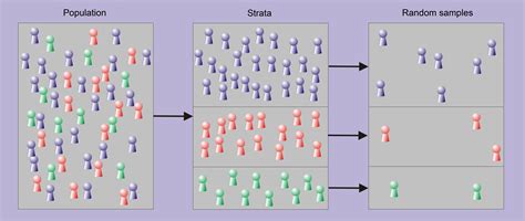 Stratified Sampling Used When The Entire Population Can Be Divided