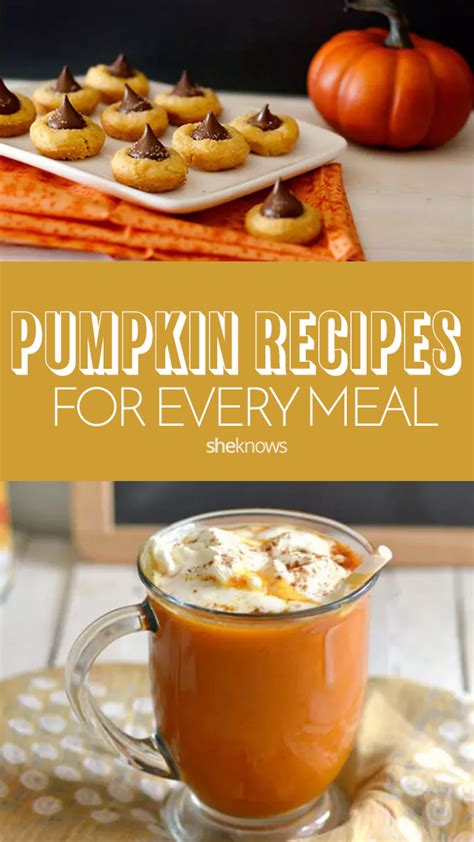 Fall Pumpkin Recipes You Wont Be Able To Pass Up 🍂🍁 Lunches And