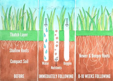 Learning how to aerate your lawn will go a long way toward having the best turf on your street. LAWN AERATION So-Cal Ponds, Inc.