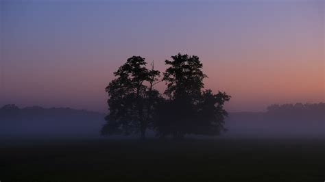 Sunrise Tomorrow Early Fog Free Photo On Pixabay