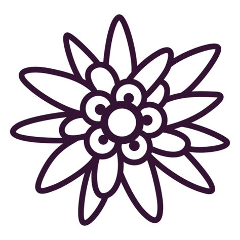 Download Edelweiss flower stroke - Transparent PNG & SVG vector file