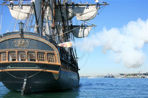 It has a bright blue gas float and long, trailing tentacles with highly poisonous stinging cells. Man-Of-War - Maritime Museum of San Diego