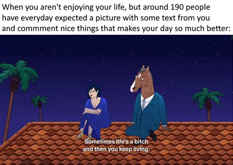 Making A Meme Out Of Every Episode Of Bojack Horseman S6 Ep16