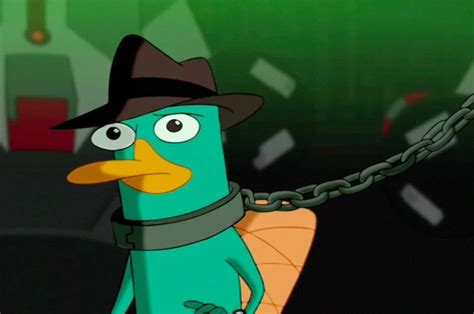 Perry Perry The Platypus Photo 26286736 Fanpop